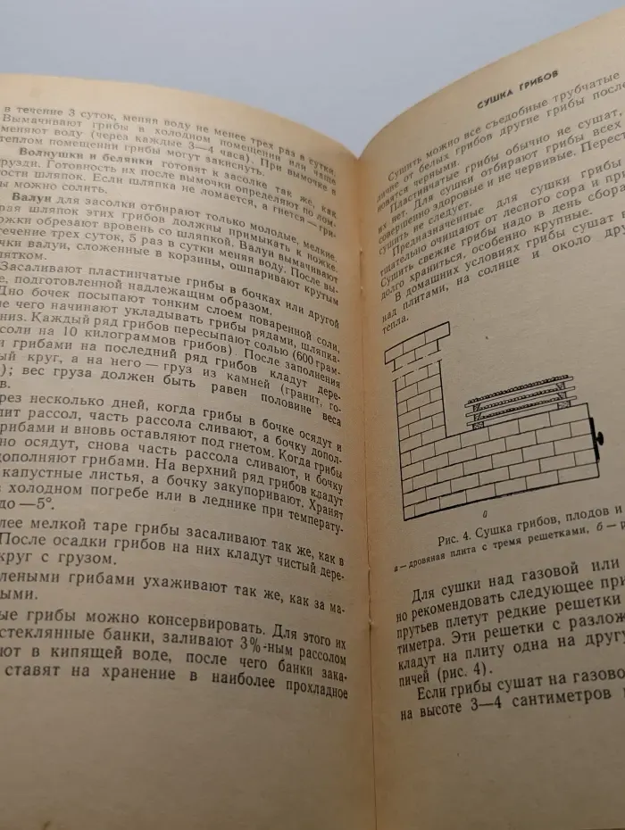 Заготовка плодов и овощей на зиму