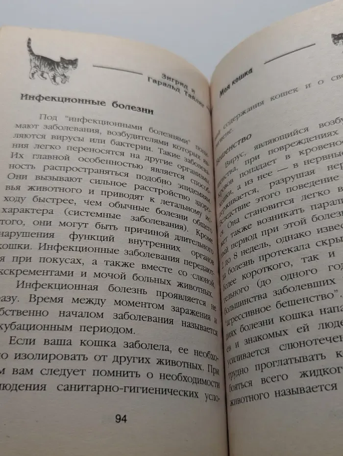 Моя кошка