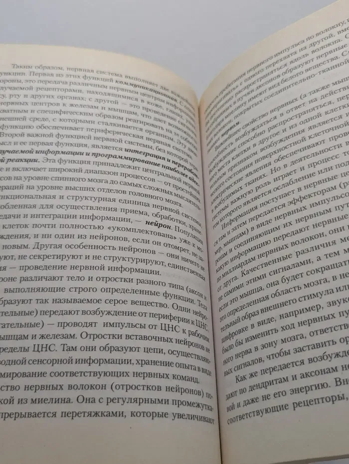 Бакалавриат. Антропология