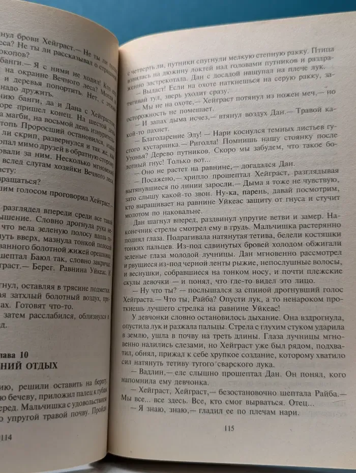 Фантастический боевик. Камешек в жерновах
