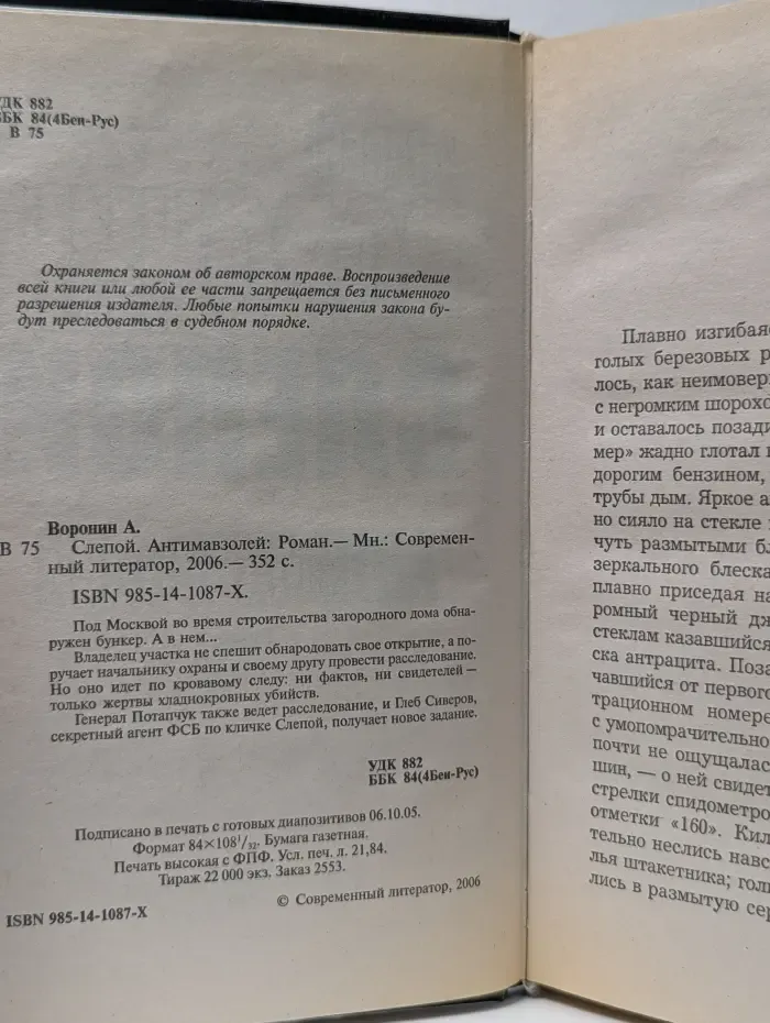 Современный российский бестселлер. Слепой. Антимавзолей
