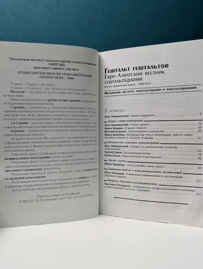 Гештальт гештальтов. Евро-Азиатский вестник гештальттерапии. Выпуск № 2/2006