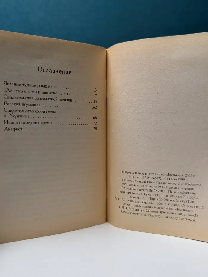 Спасительница России. Икона Божией Матери «Аз есмь с вами и никтоже на вы»
