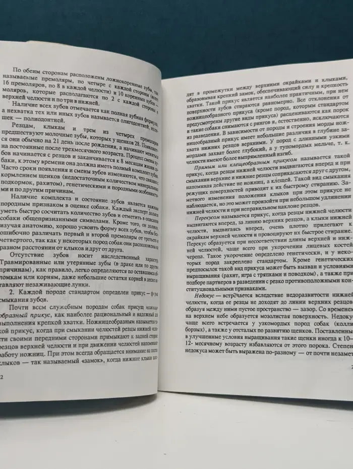 Общий экстерьер собак