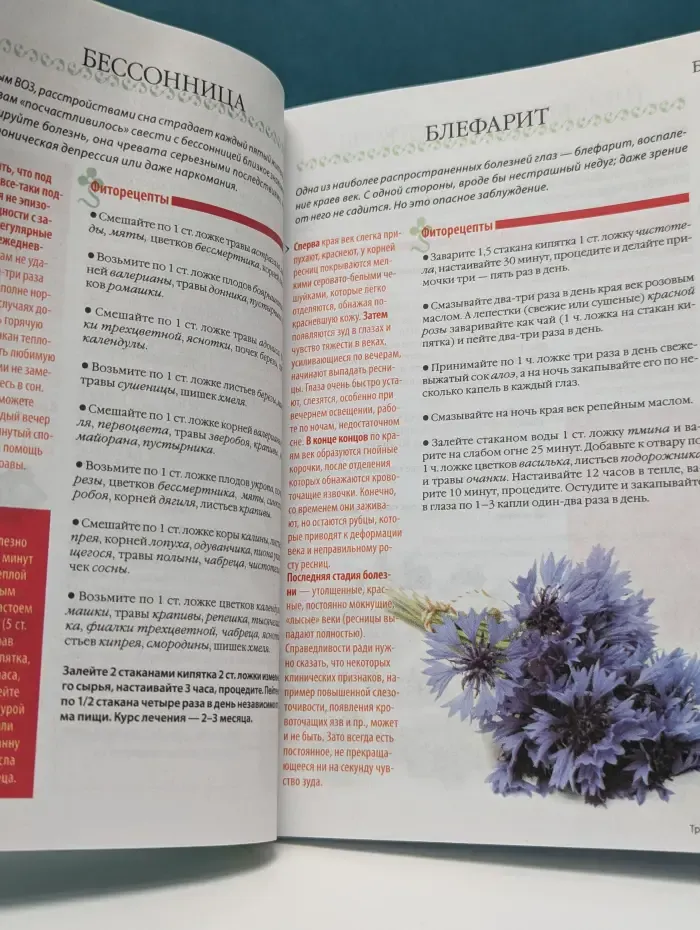 Справочник целебника. Спецвыпуск № 1/2009. 500 рецептов от 100 болезней