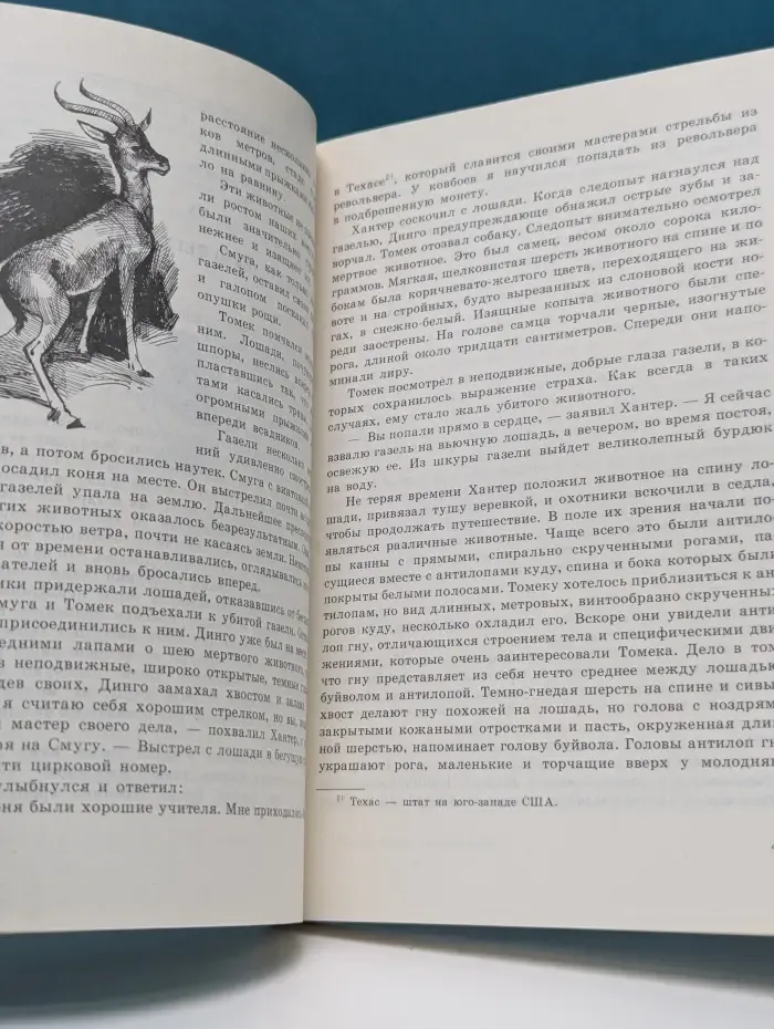 Приключения Томека на Черном континенте