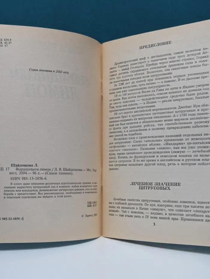Самое главное. Выращиваем лимон