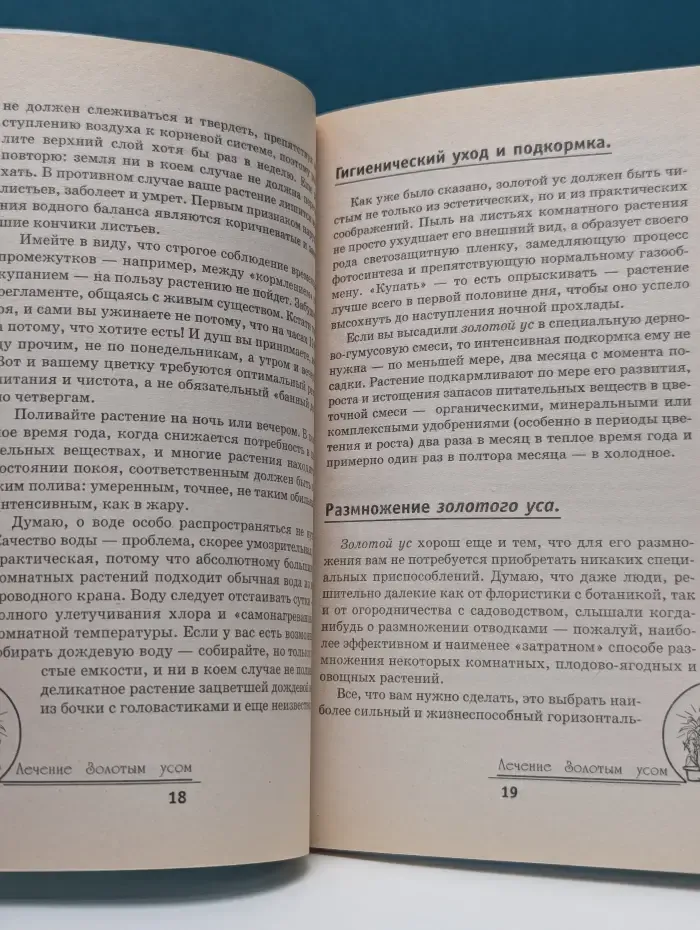 Панацея. Лечение золотым усом