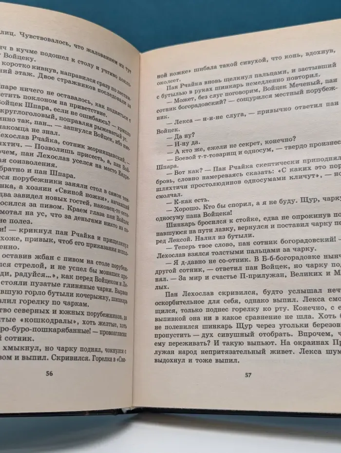 Мести не будет. Клинки Порубежья. Книга 2