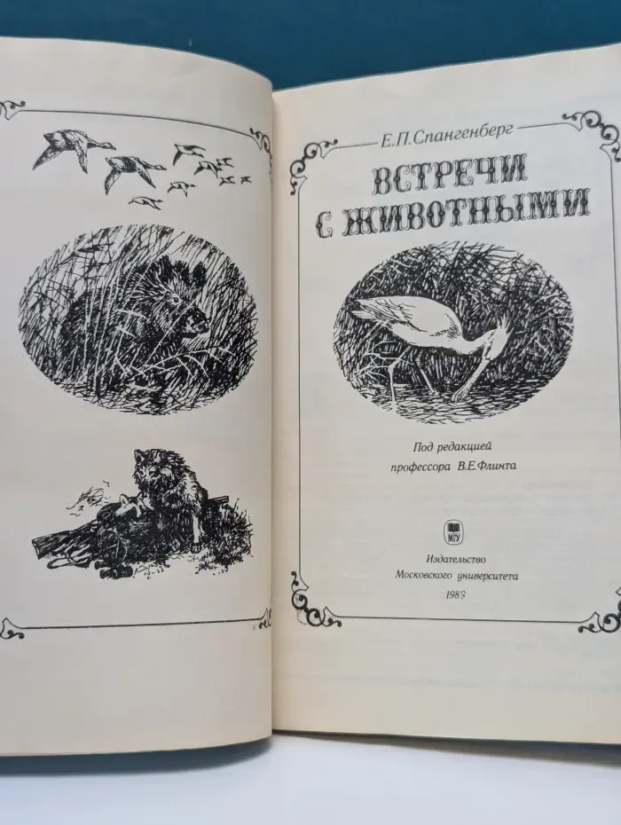 Встречи с животными