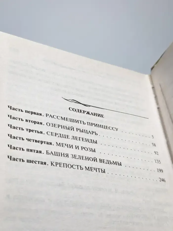 Рыцарь Железного Кулака