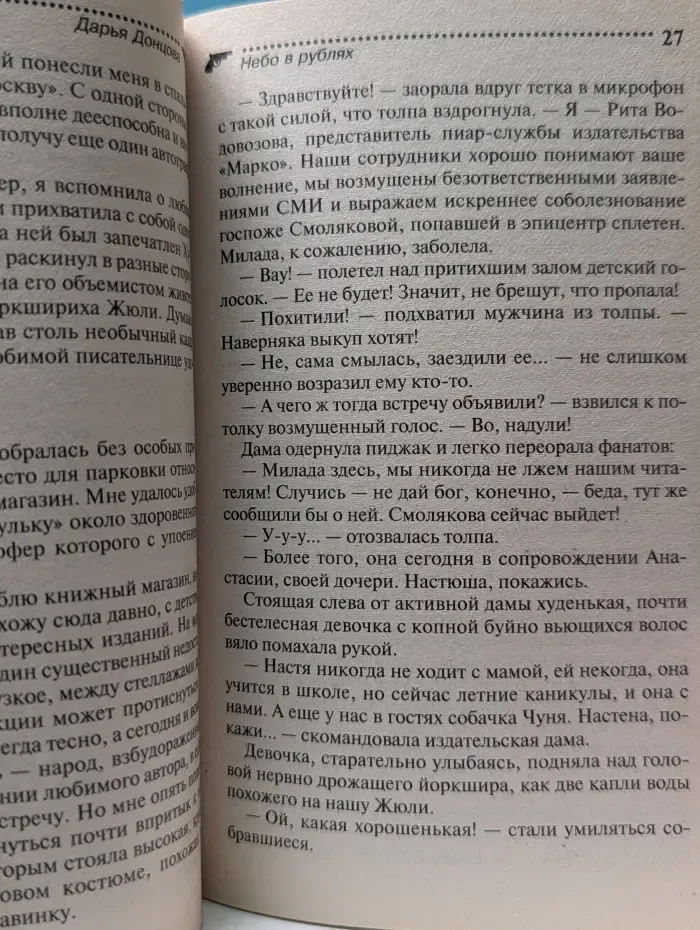 Иронический детектив. Небо в рублях