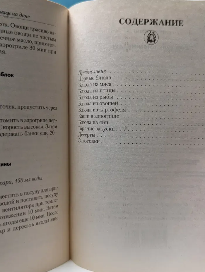 Аэрогриль. Готовим на даче