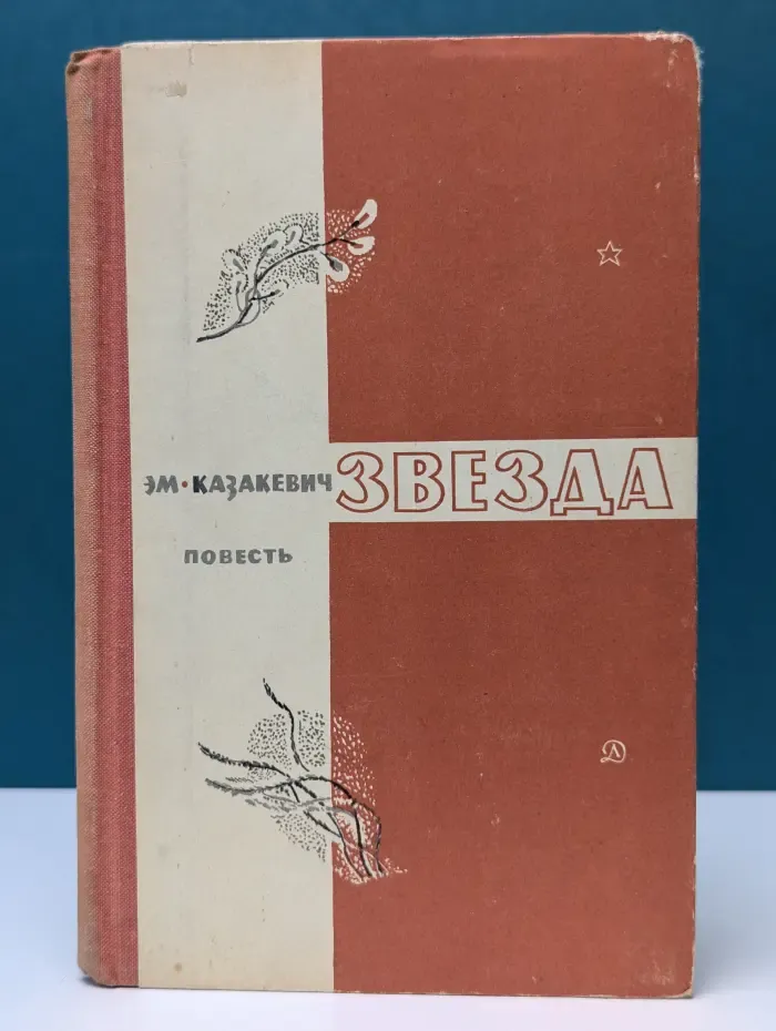 Школьная библиотека. Звезда