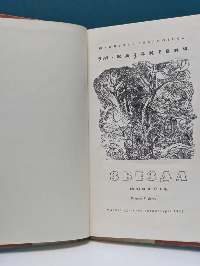 Школьная библиотека. Звезда