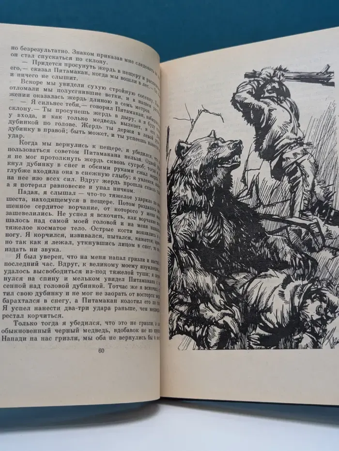 Ошибка одинокого бизона