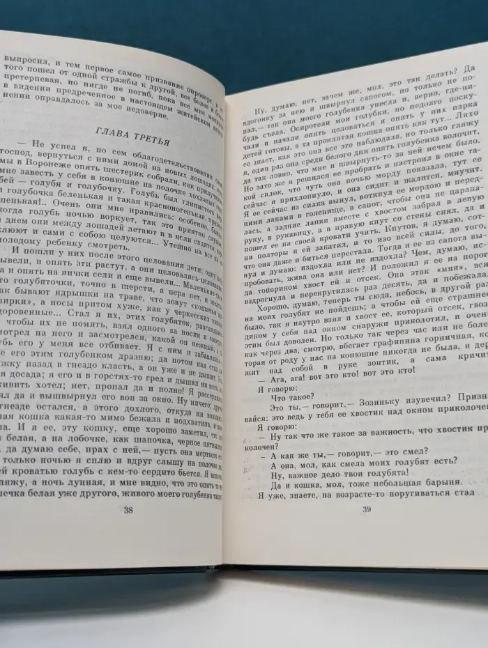 Сельская библиотека Нечерноземья. Очарованный странник