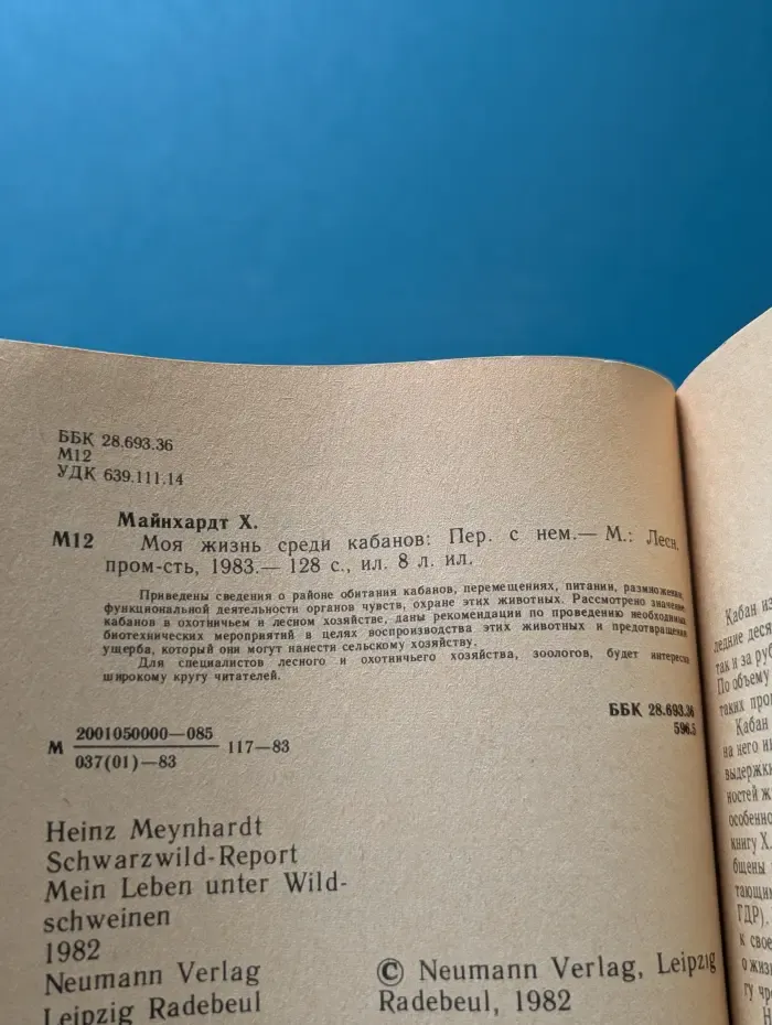 Моя жизнь среди кабанов