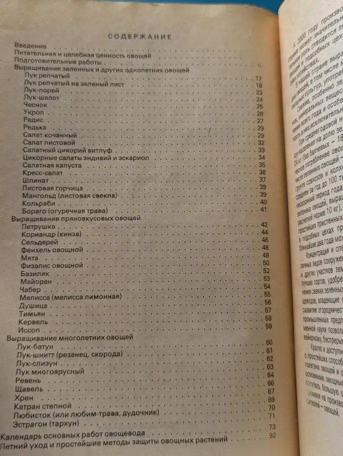 Витамины с грядки