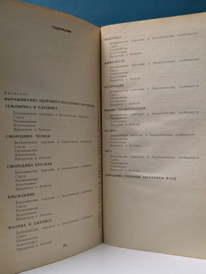 Ягодный сад