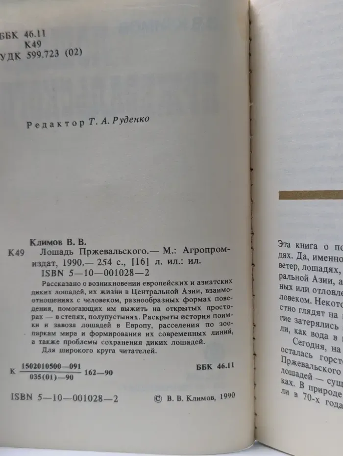 Лошадь Пржевальского