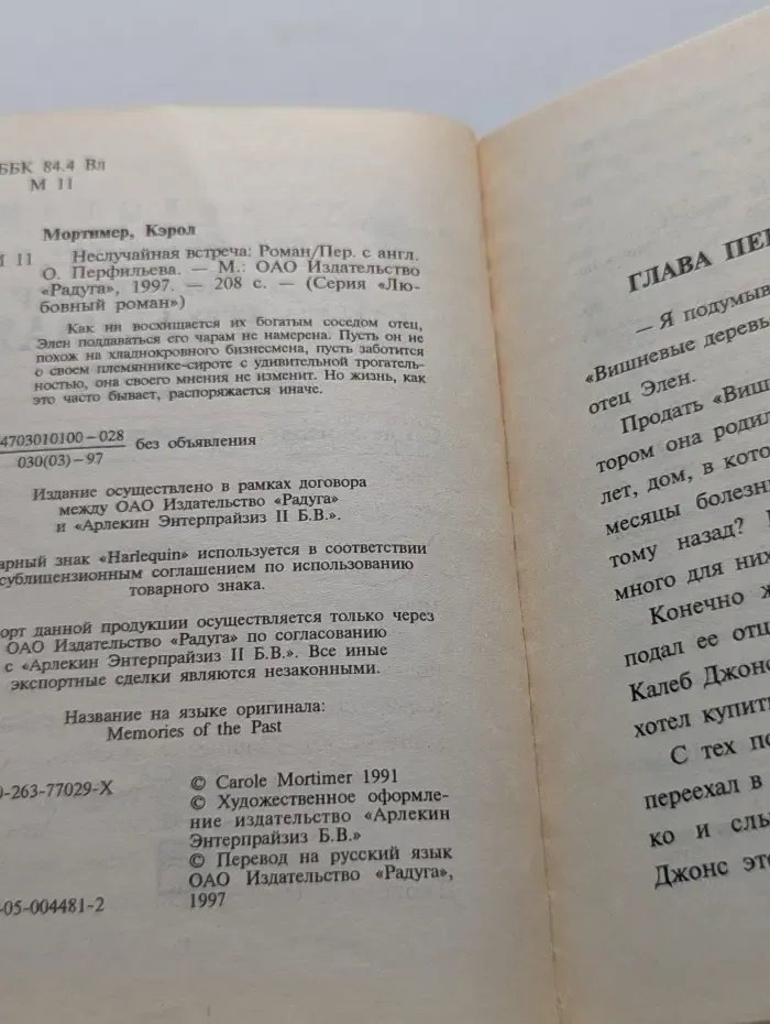 Любовный роман. Неслучайная встреча