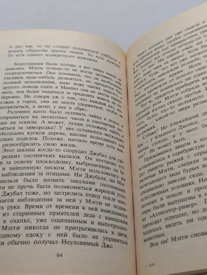Искушение. Тонкий лед