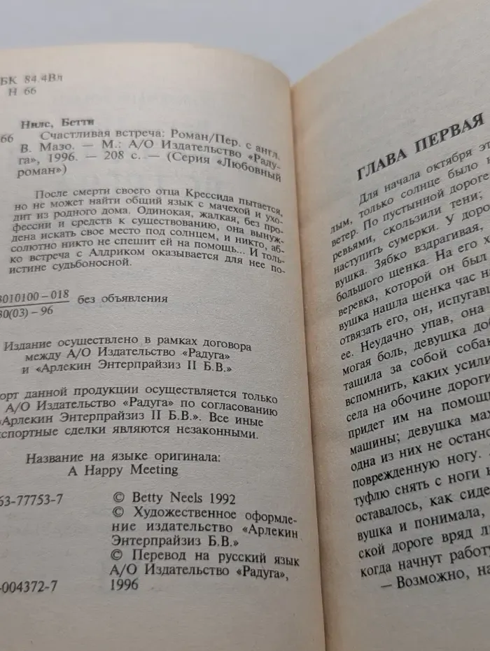 Любовный роман. Счастливая встреча