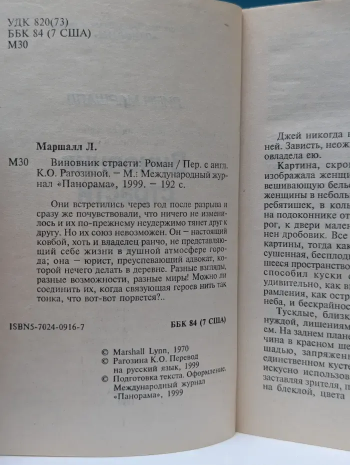 Панорама романов о любви. Виновник страсти