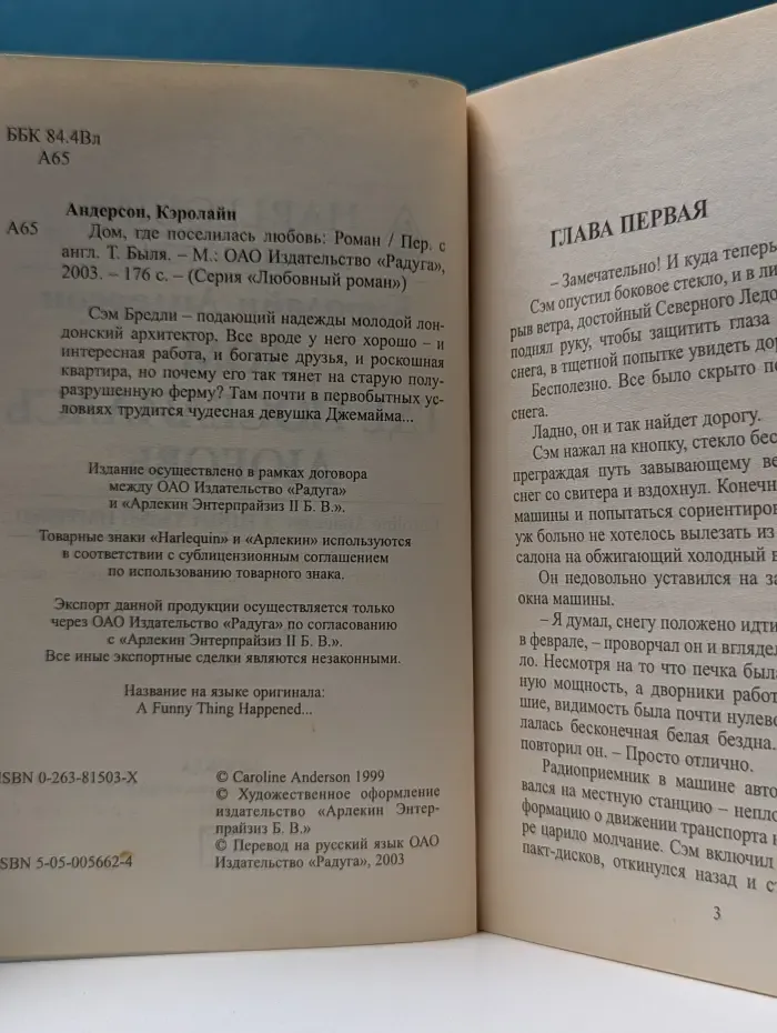 Любовный роман. Дом, где поселилась любовь
