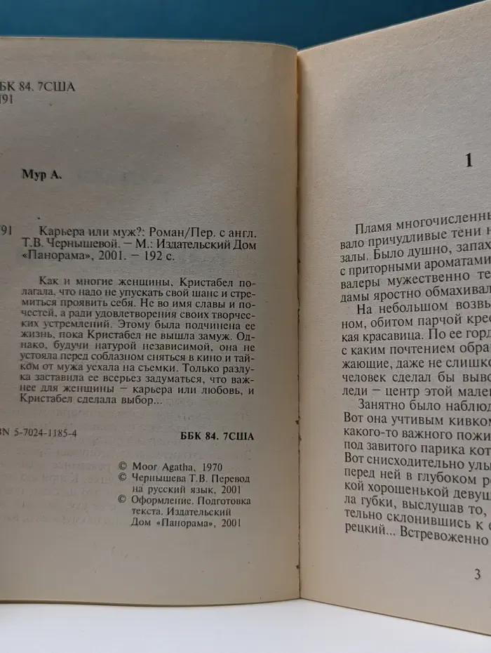 Панорама романов о любви. Карьера или муж?