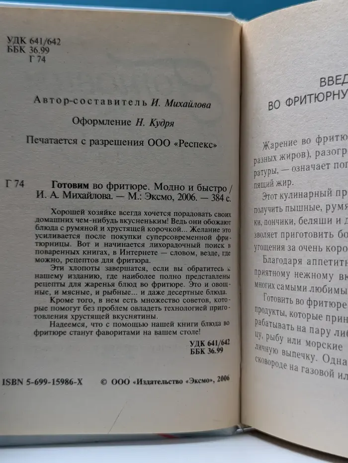 Модно и быстро. Готовим во фритюре