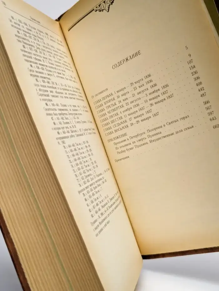 Последний год жизни Пушкина