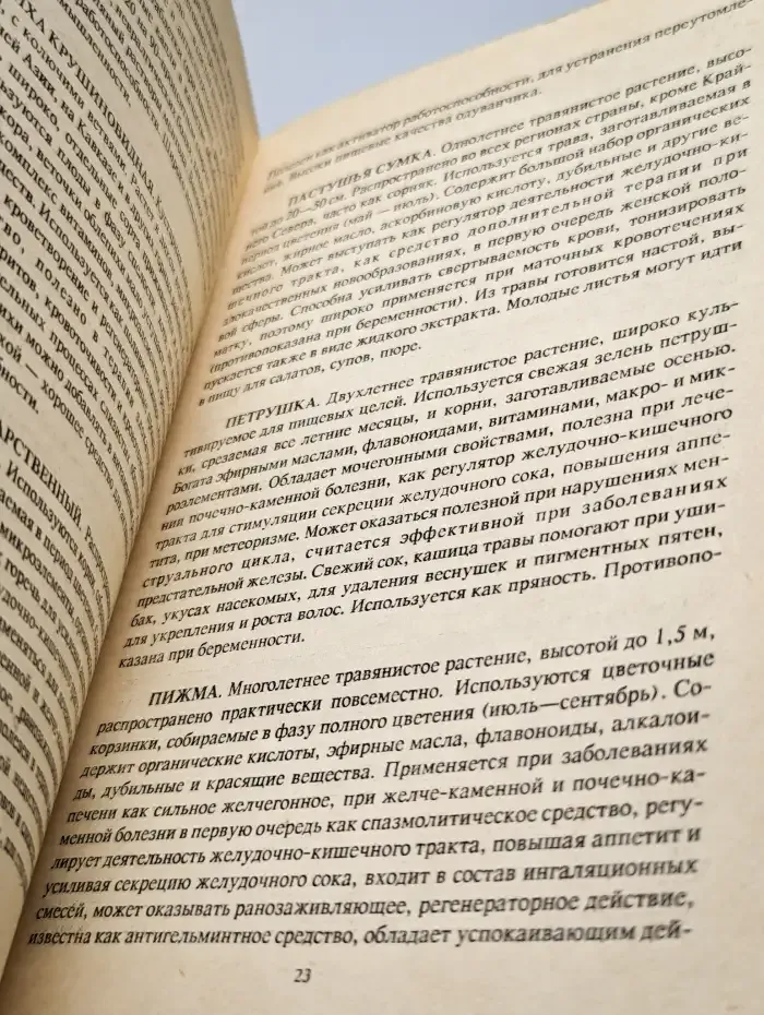 Лекарственные растения в терапии язвенной болезни желудка
