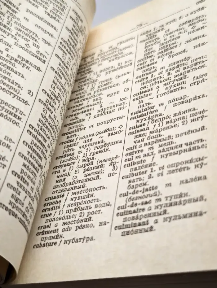 Французско-русский и русско-французский словарь