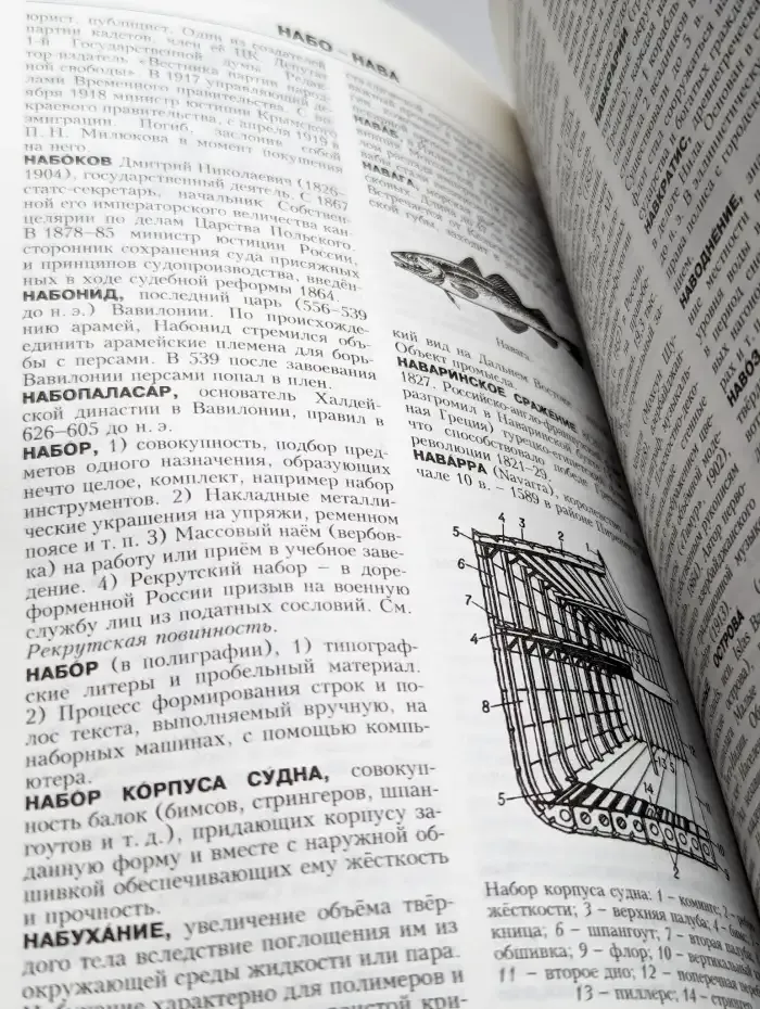 Новая иллюстрированная энциклопедия. Том 6