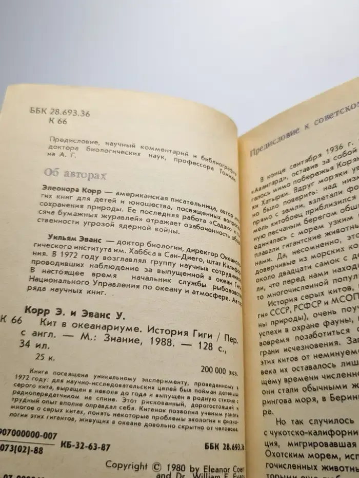 Кит в океанариуме. История Гиги