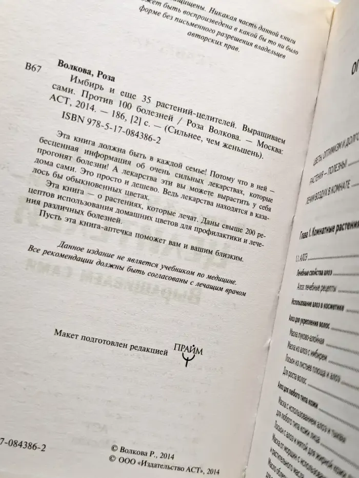 Имбирь и еще 35 растений-целителей