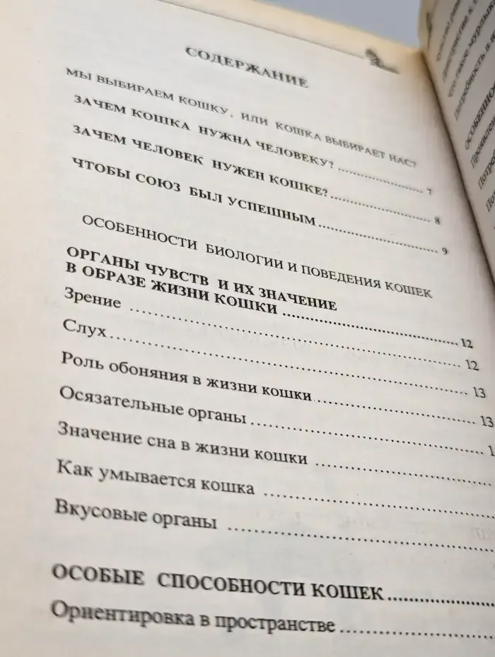 Ваша кошка