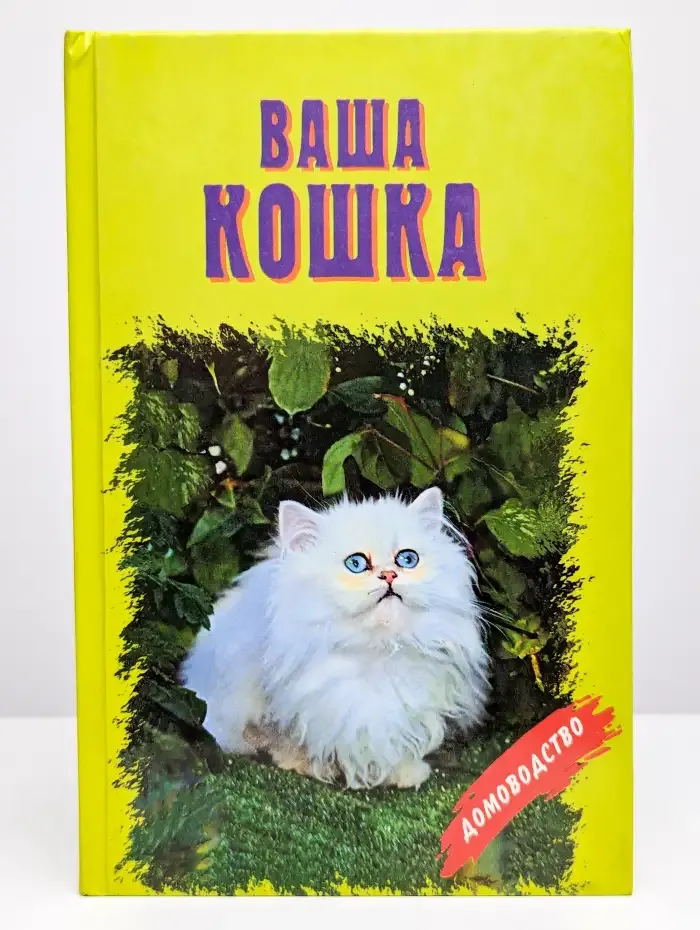 Ваша кошка