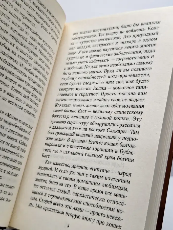 Кошка-целитель