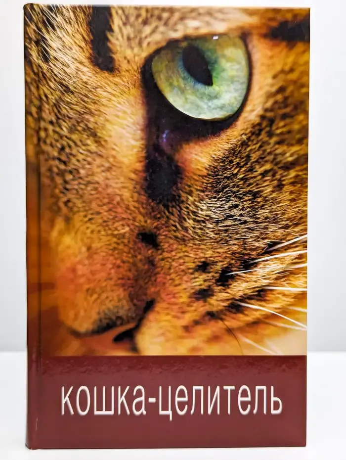 Кошка-целитель