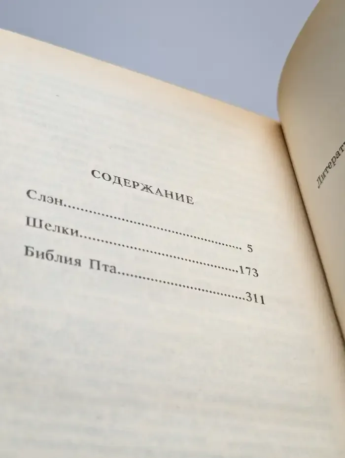Слэн