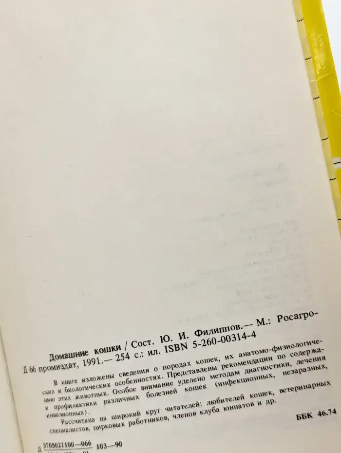 Домашние кошки
