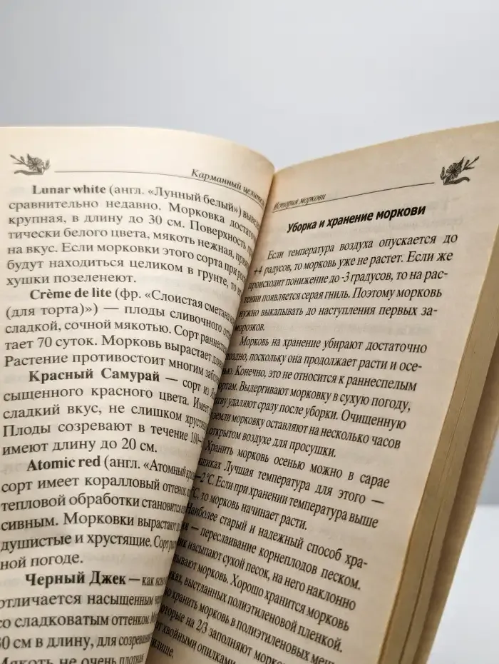 Лекарь морковь. От диабета, онкологии, авитаминоза и т.д.