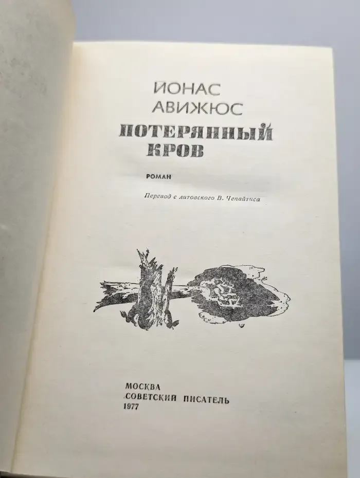 Потерянный кров