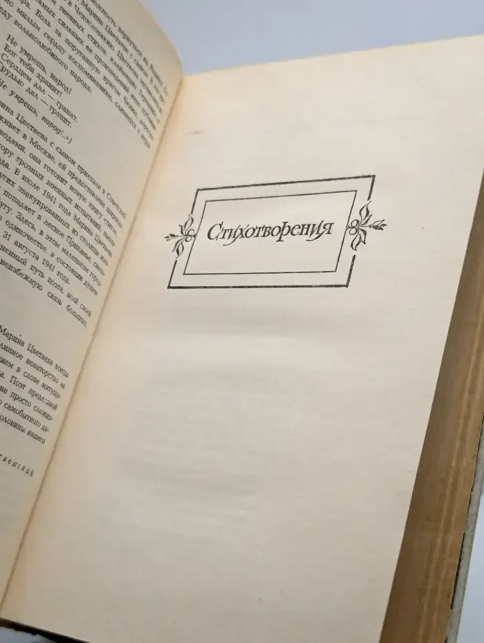 Марина Цветаева. Сочинения в двух томах. Том 1