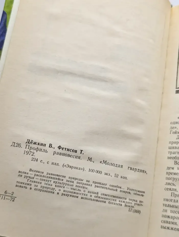 Профиль равновесия