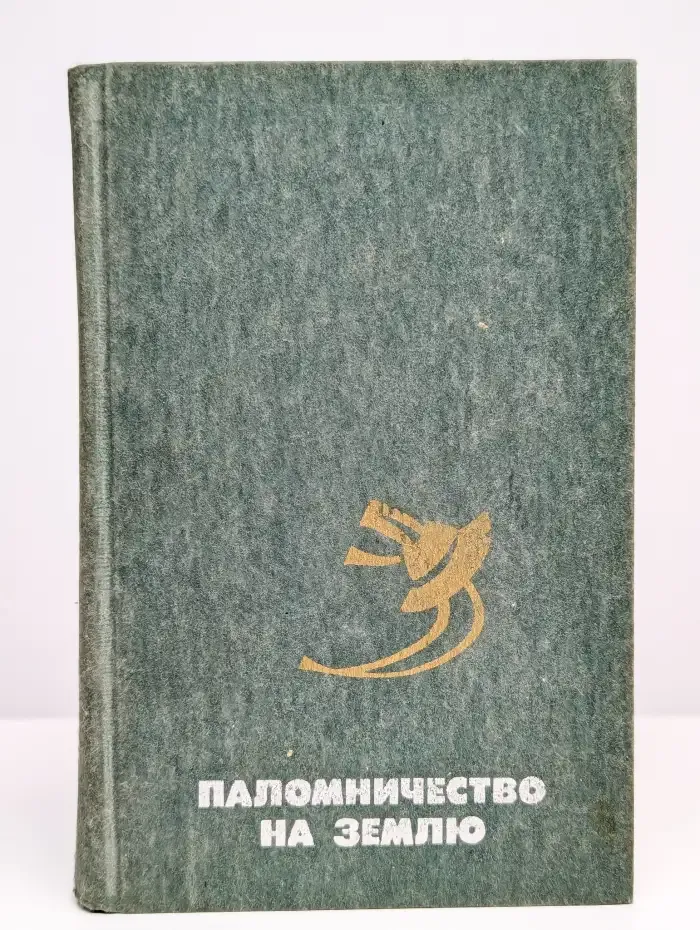 Паломничество на Землю