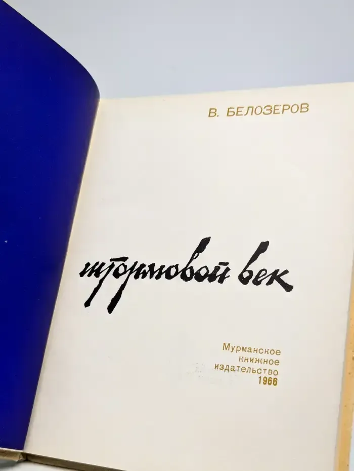 Штормовой век